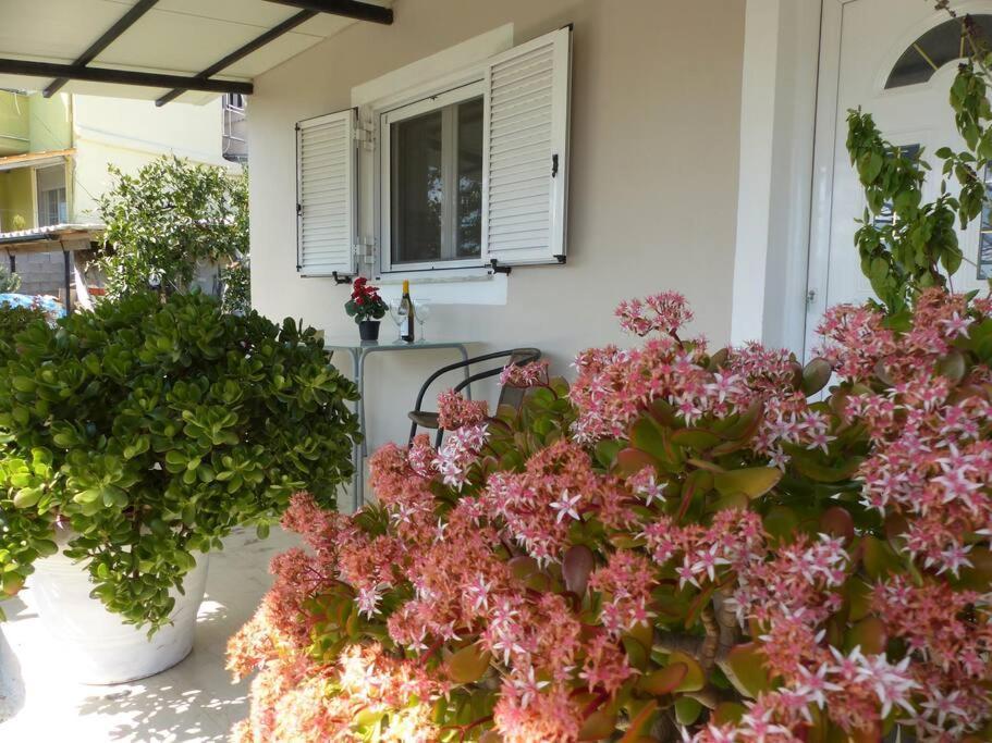 Michaels Flower House Kanálion 외부 사진